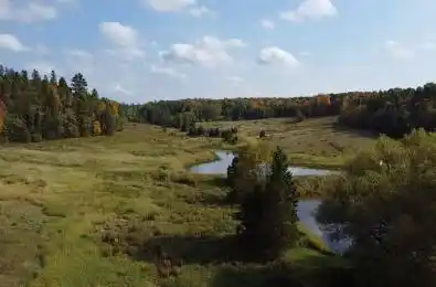 1524 Hekkla Road Muskoka Lakes Ontario P0C 1J0