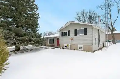 29 Jamieson Drive Adjala-Tosorontio Ontario L0N 1R0