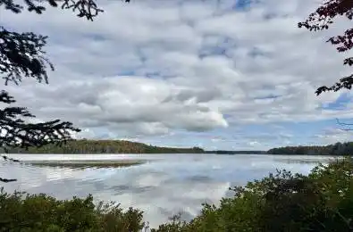 9 Axe Lake Road McMurrich/Monteith Ontario P0B 1M0