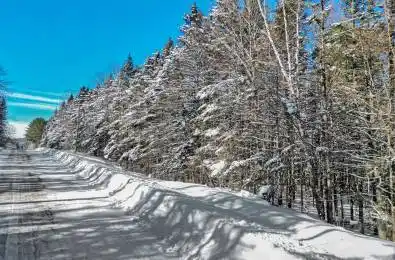 LOT 3 STONEY Road Armour Ontario P0A 1C0