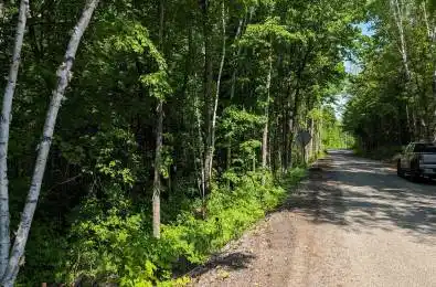 Lot 1 Tally-Ho Winter Park Road Lake of Bays Ontario P1H 2E8