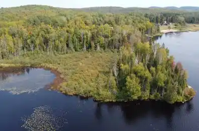 1471 Pickerel & Jack Lake Road Armour Ontario P0A 1Z0