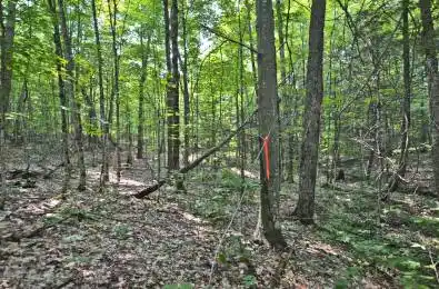 0 Lyndsey Lane Unit# Part 1 McKellar Ontario P2A 0B5