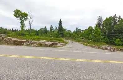 Lot 78 141 Highway Seguin Ontario P0C 1J0