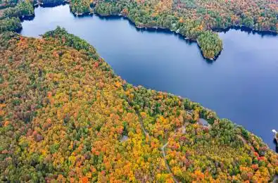 1310 Camel Lake Road Unit# 9 Muskoka Lakes Ontario P1L 1X4