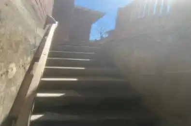 14 Griffiths Drive Unit# Lower Ajax Ontario L1T 3J3