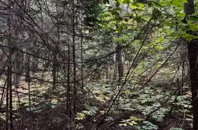 4 SHORE Road Saugeen Shores Ontario N0H 2L0